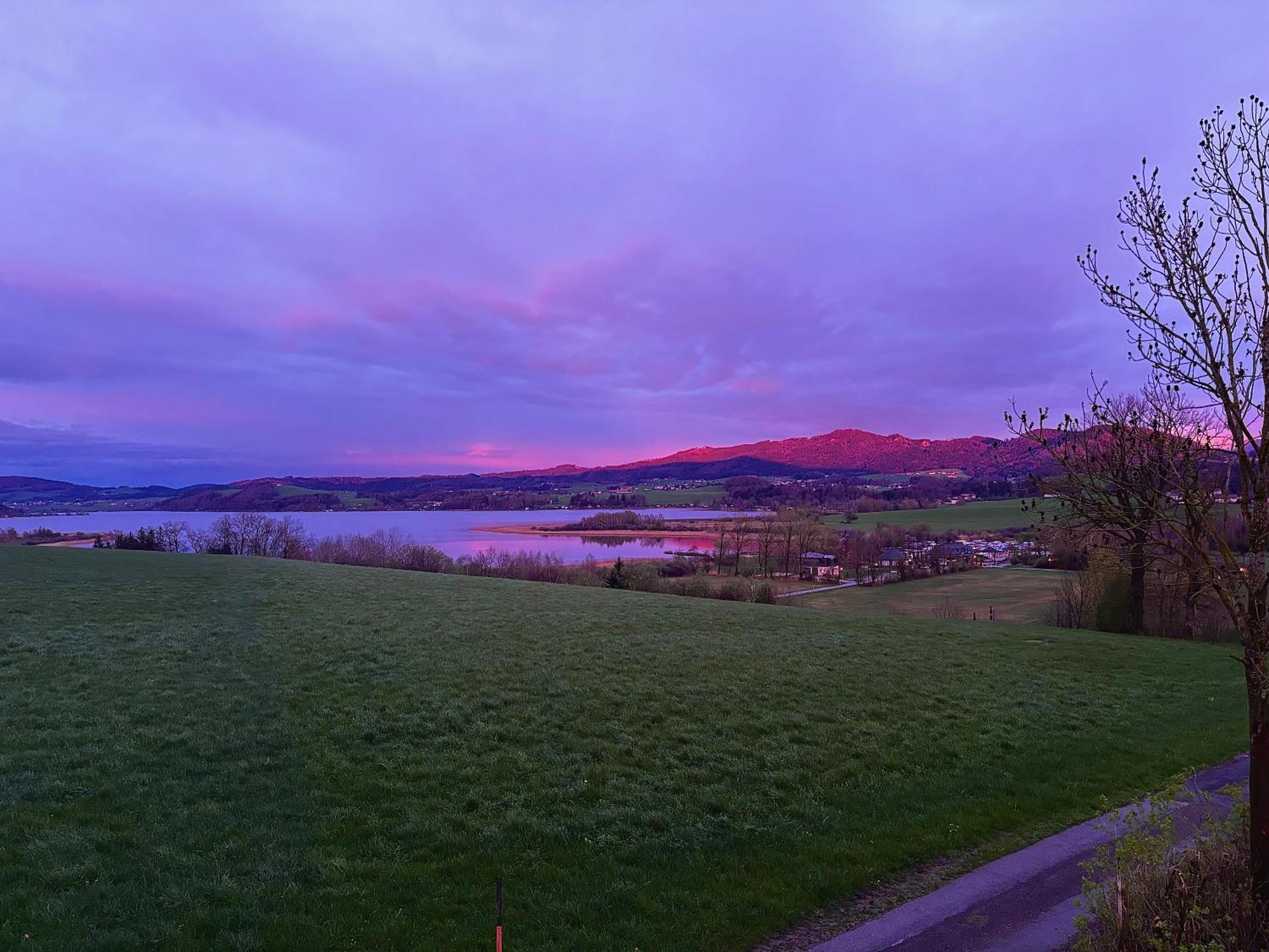 Gaesthaus "Seeblick" Seekirchen am Wallersee Ngoại thất bức ảnh
